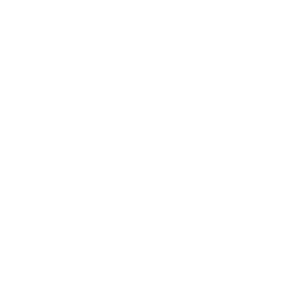W Hotels
